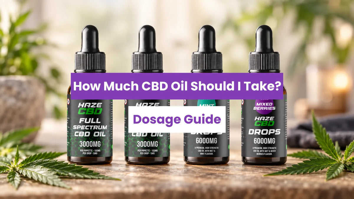 How Much CBD Oil Should I Take: UK Guide