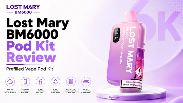Lost Mary BM6000 Vape Kit Review